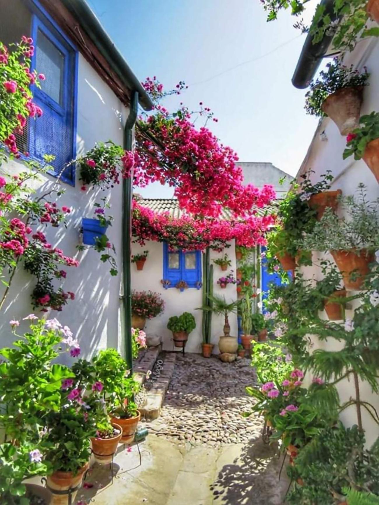 Nieves Viejas Los Patios Кордова Экстерьер фото