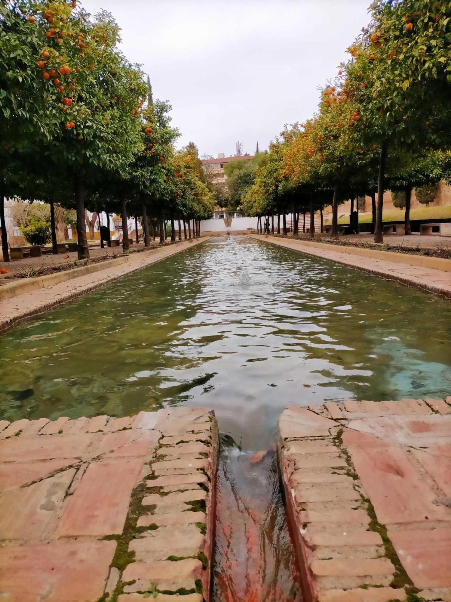 Nieves Viejas Los Patios Кордова Экстерьер фото