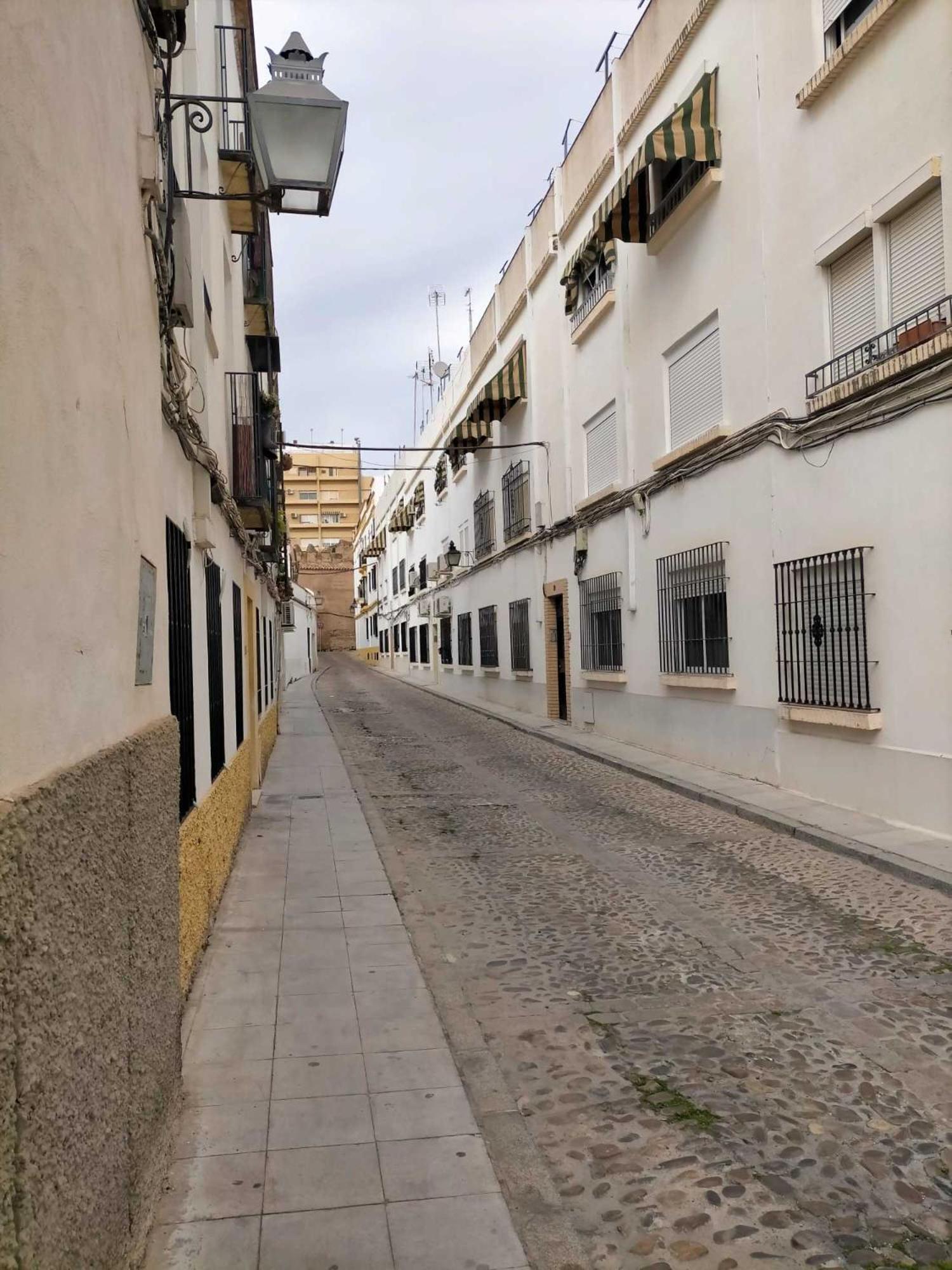 Nieves Viejas Los Patios Кордова Экстерьер фото