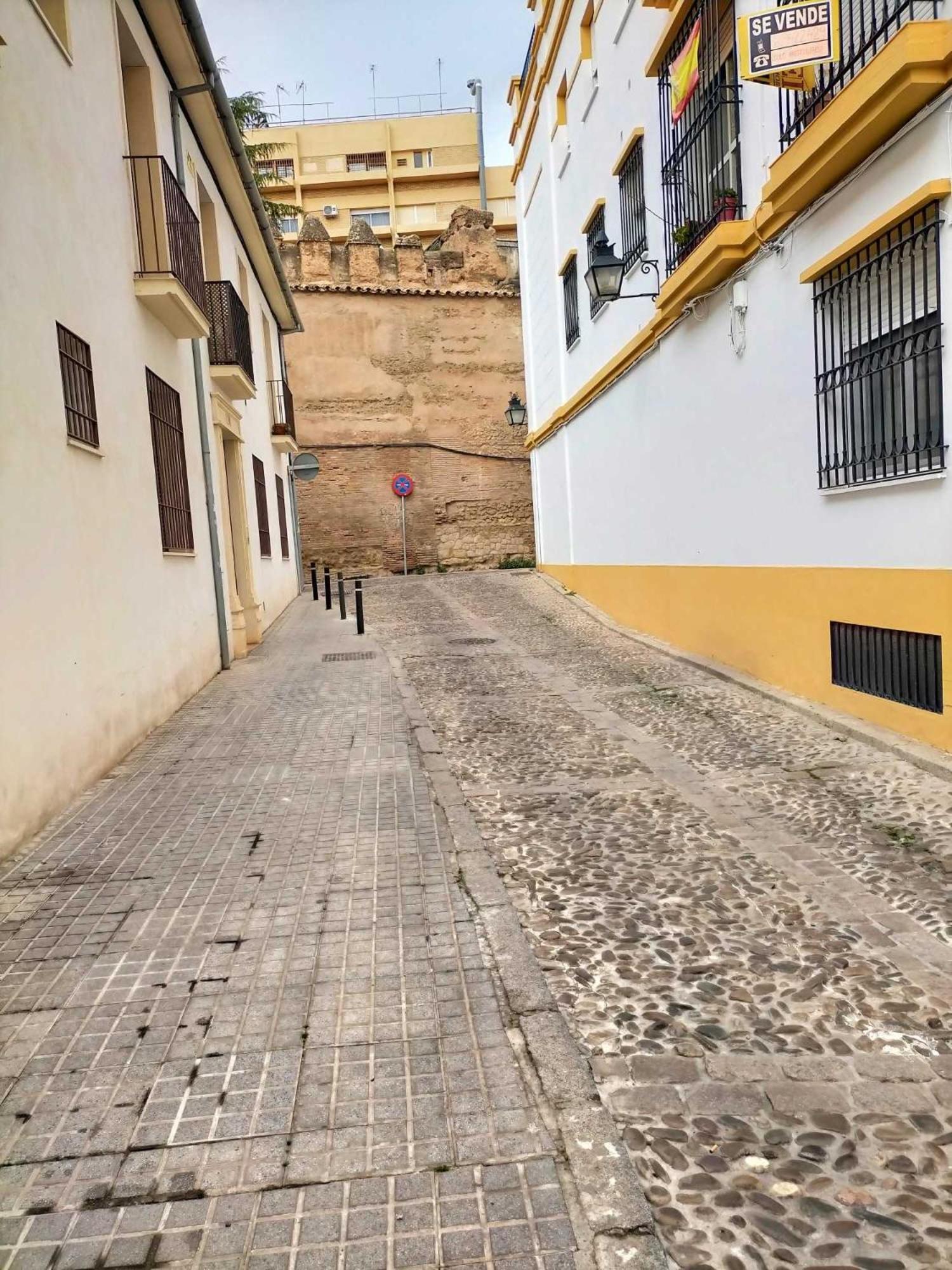 Nieves Viejas Los Patios Кордова Экстерьер фото
